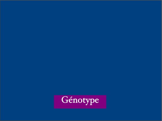 genotypedlb.jpg
