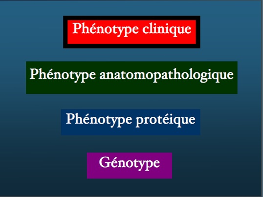 phenotypeclinique4.jpg
