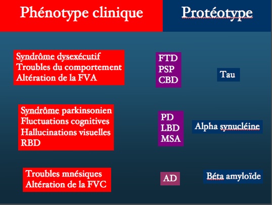 phenotypecliniqueproteotype.jpg